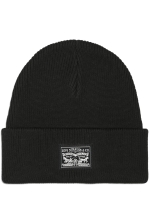 Backpatch Beanie