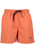 Mcs Swimshorts Garland