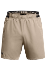 Ua Vanish Woven 6In Shorts