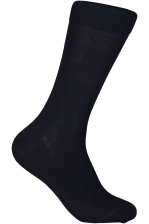 True Ankle Sock
