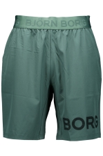 Borg 9