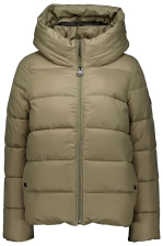 B.Intl Olivios Puffe