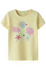 NBFFITRUZ SS TOP BOX