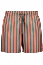 Borg Print Swim Shorts