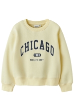 NKFFABIA LS NREG SWEAT BRU