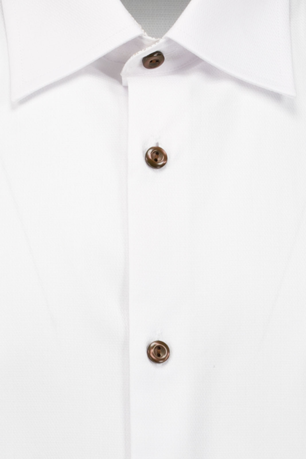 Shirt S/s 6001 Erla