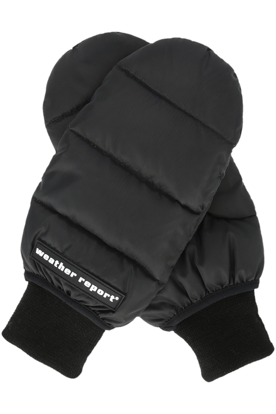 Capricorn Unisex Down Mittens