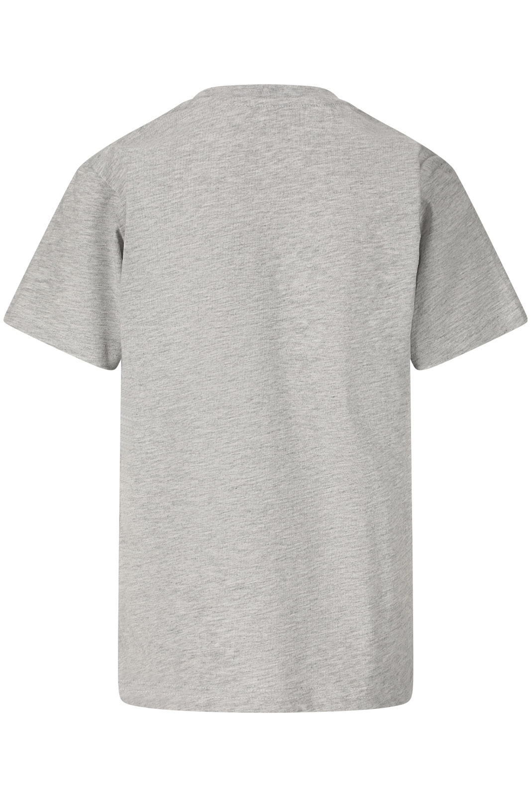 Woodtown Melange SS T-Shirt