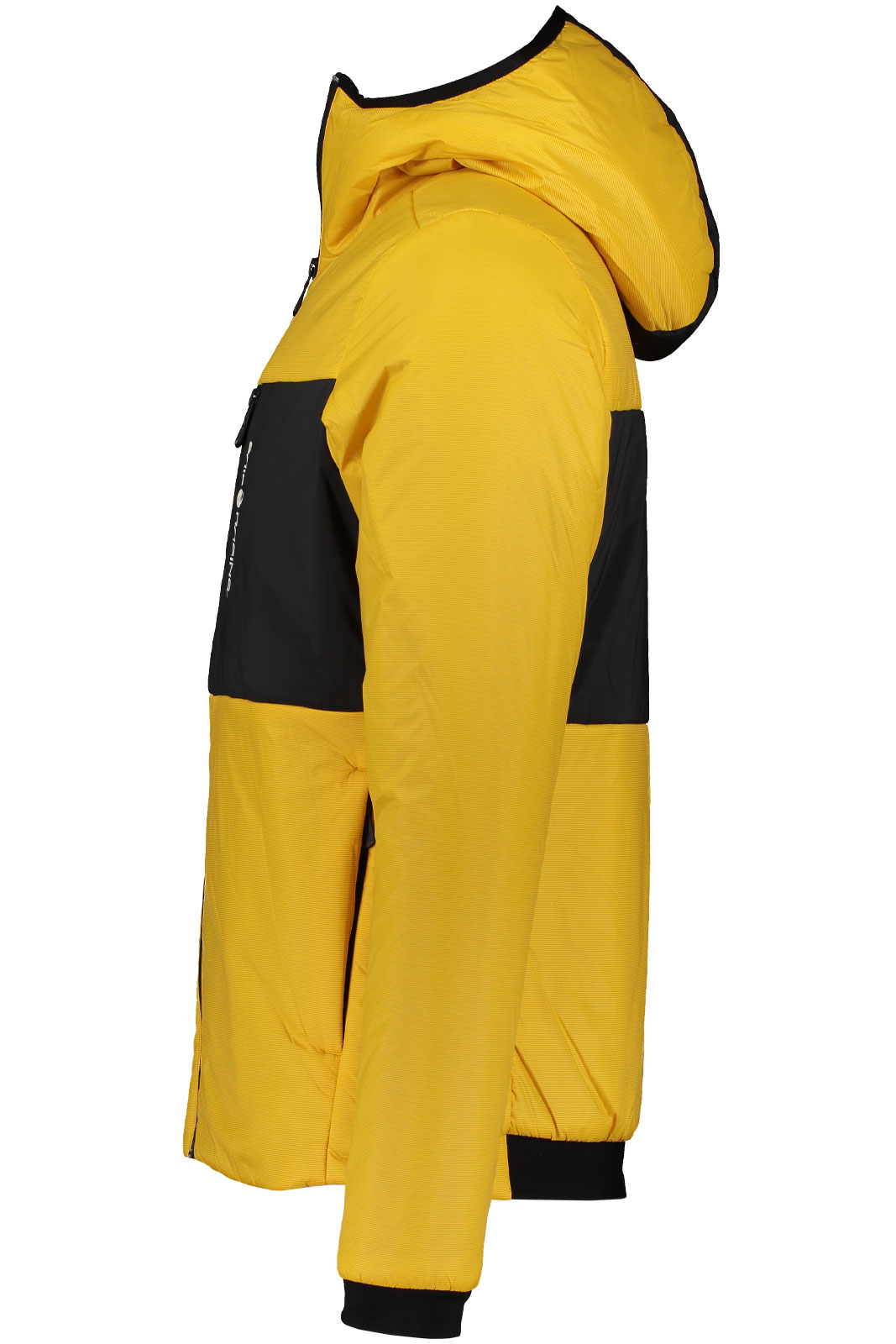 Glacier Primaloft Hood