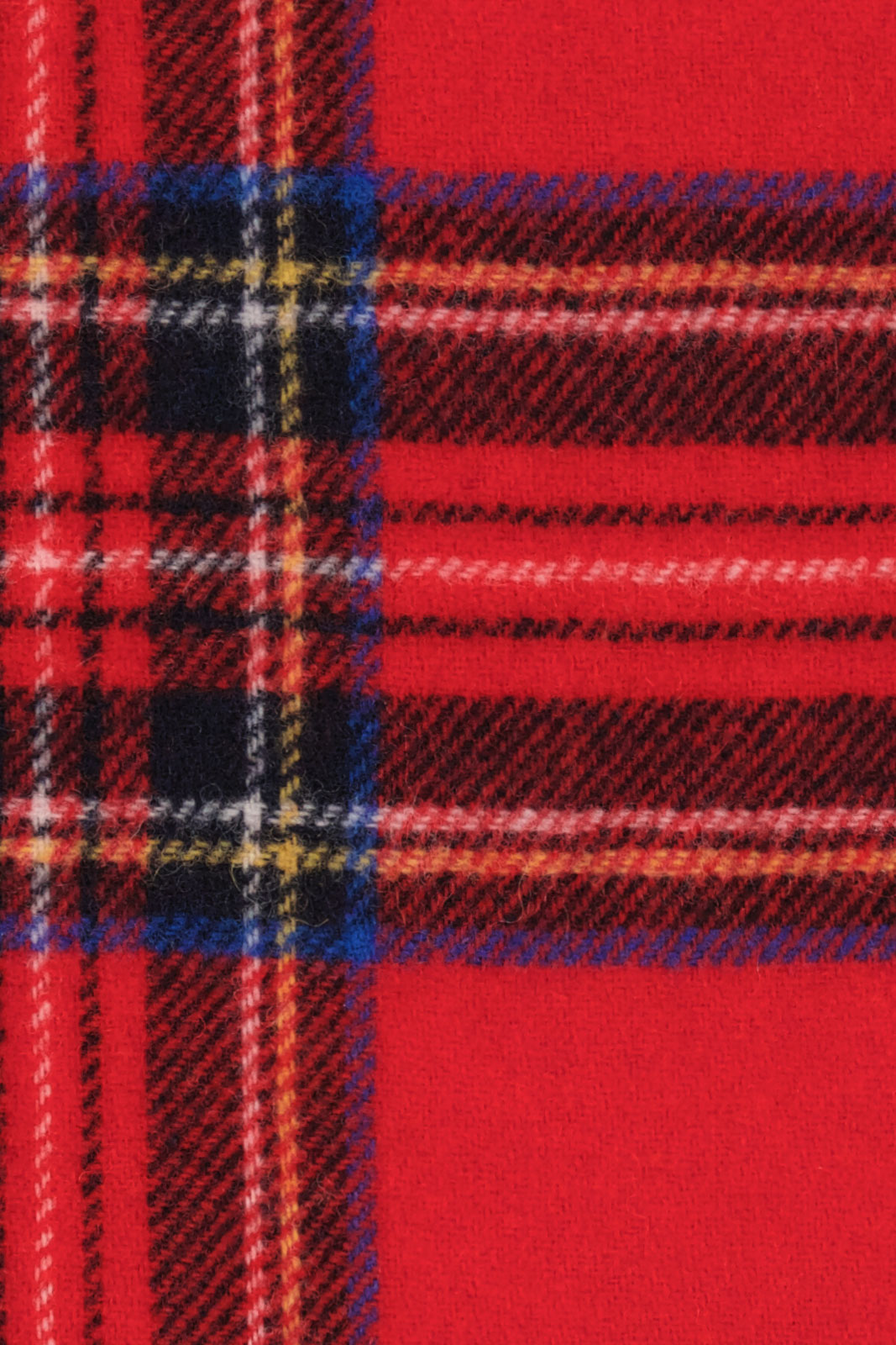 Arthur Check Scarf