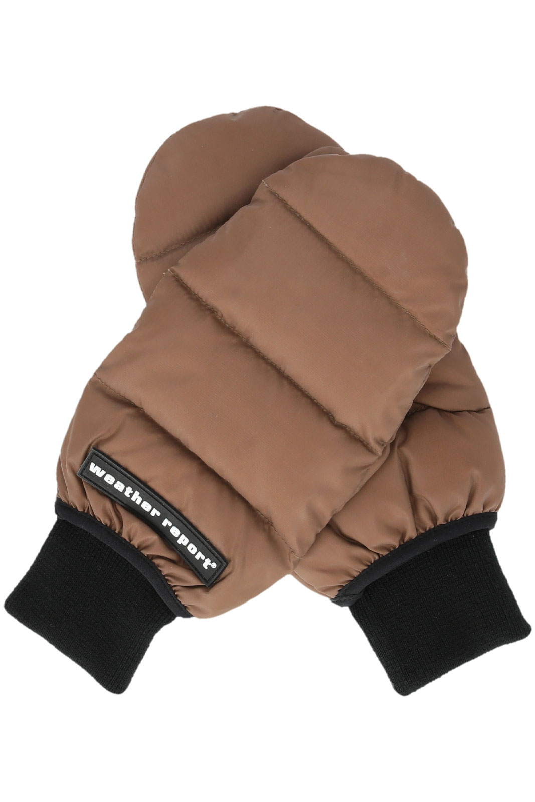 Capricorn Unisex Down Mittens