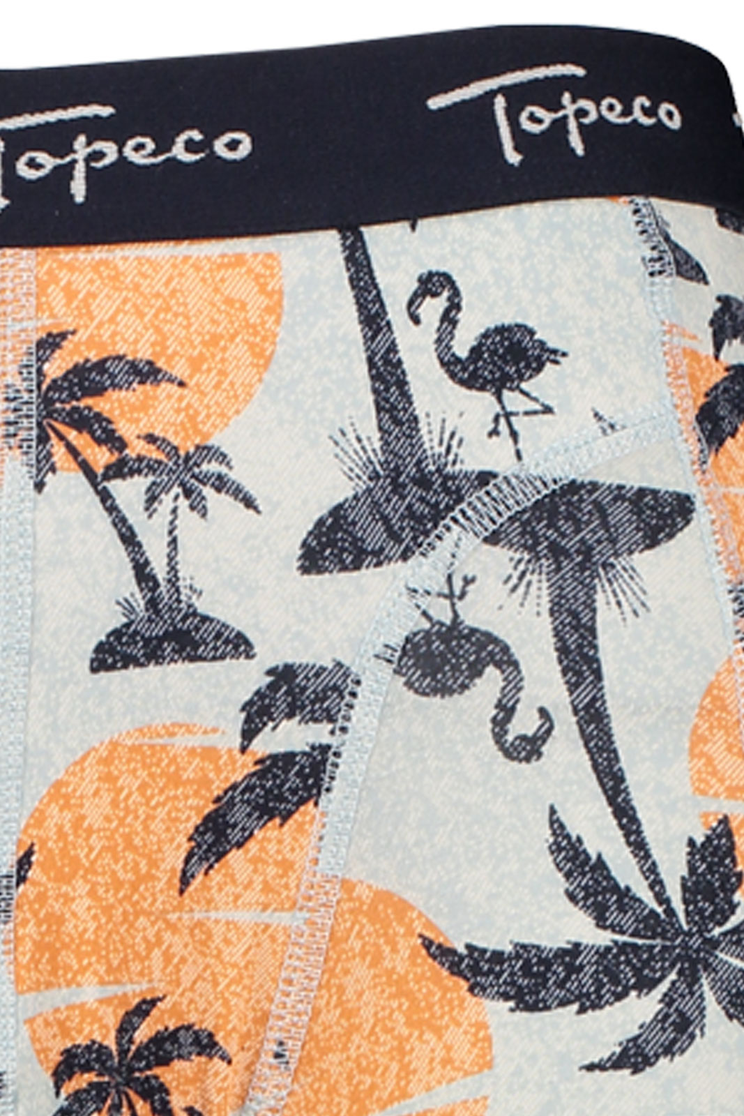 Men's Regular Boxer 3-p,