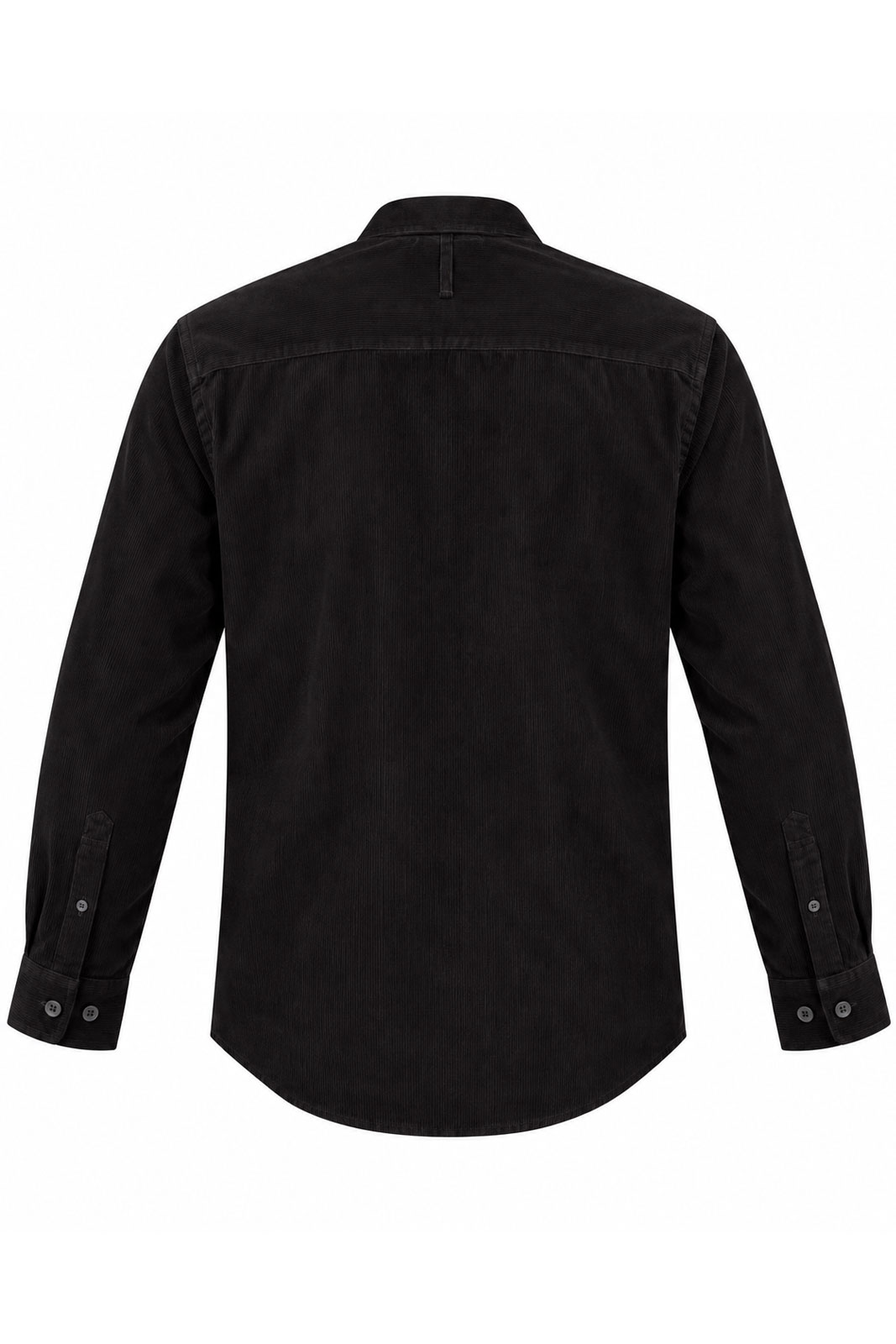 Asher 50008
