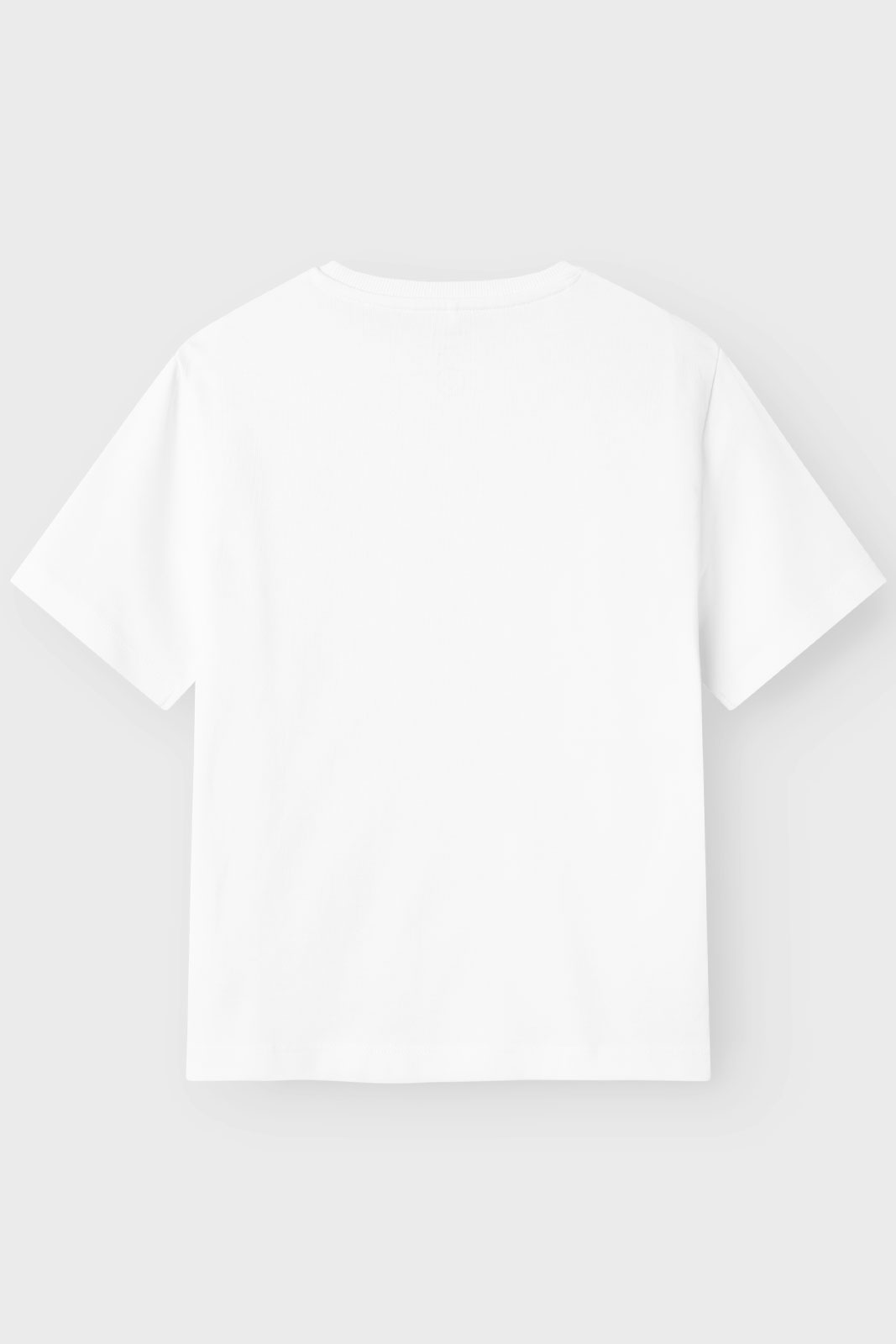 NKFGREGA SS NREG TOP NOOS