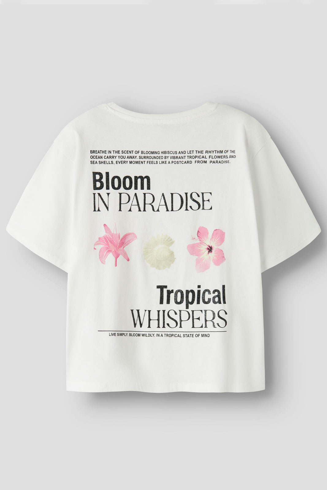 NKFHAO SS NREG TOP BOX