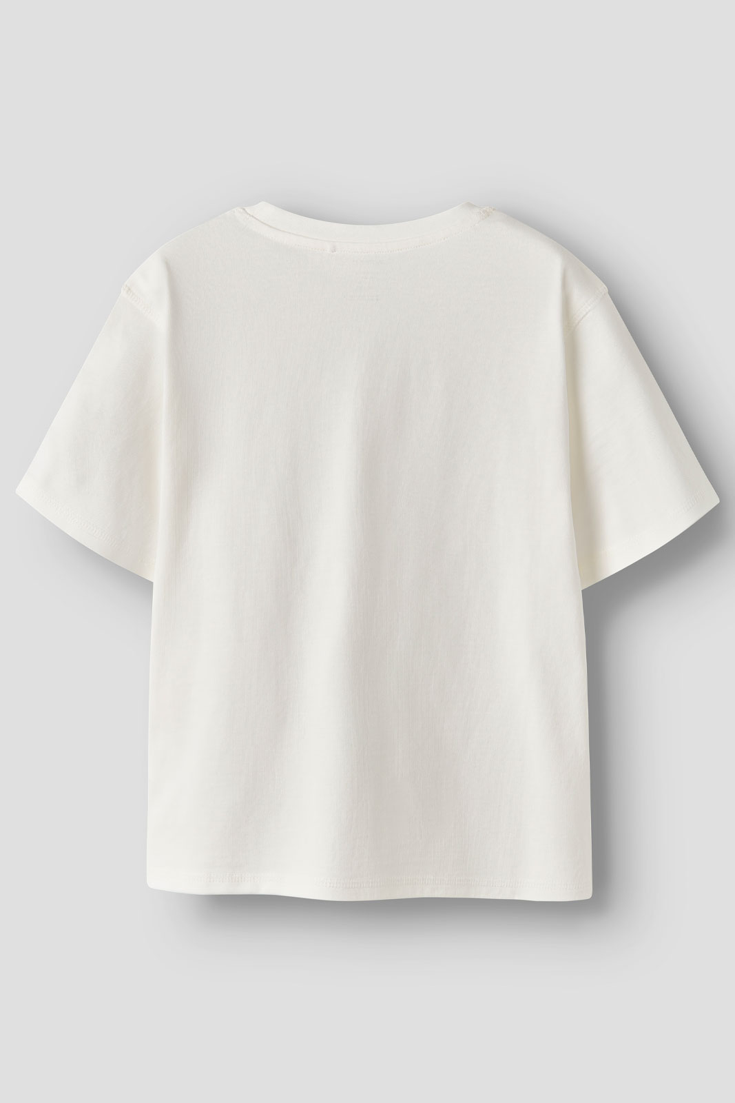 NKMFRINO SS NREG TOP