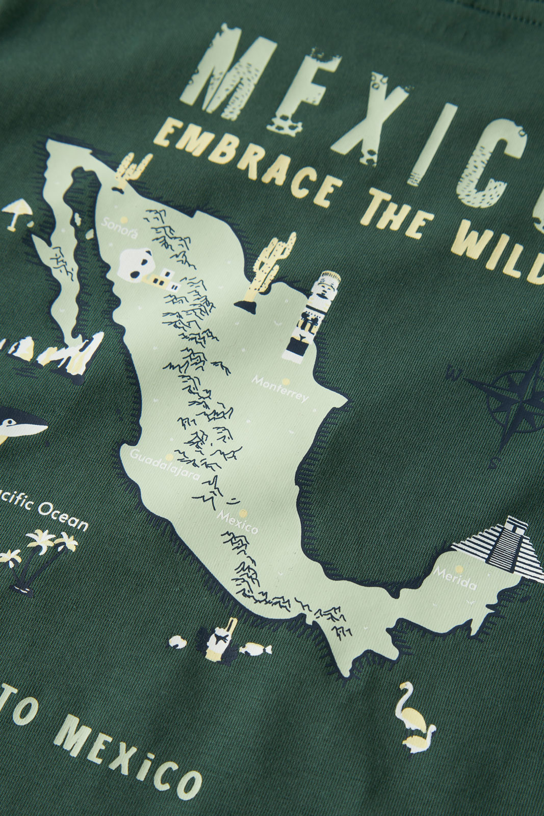 NMMHAYDE SS NREG TOP BOX