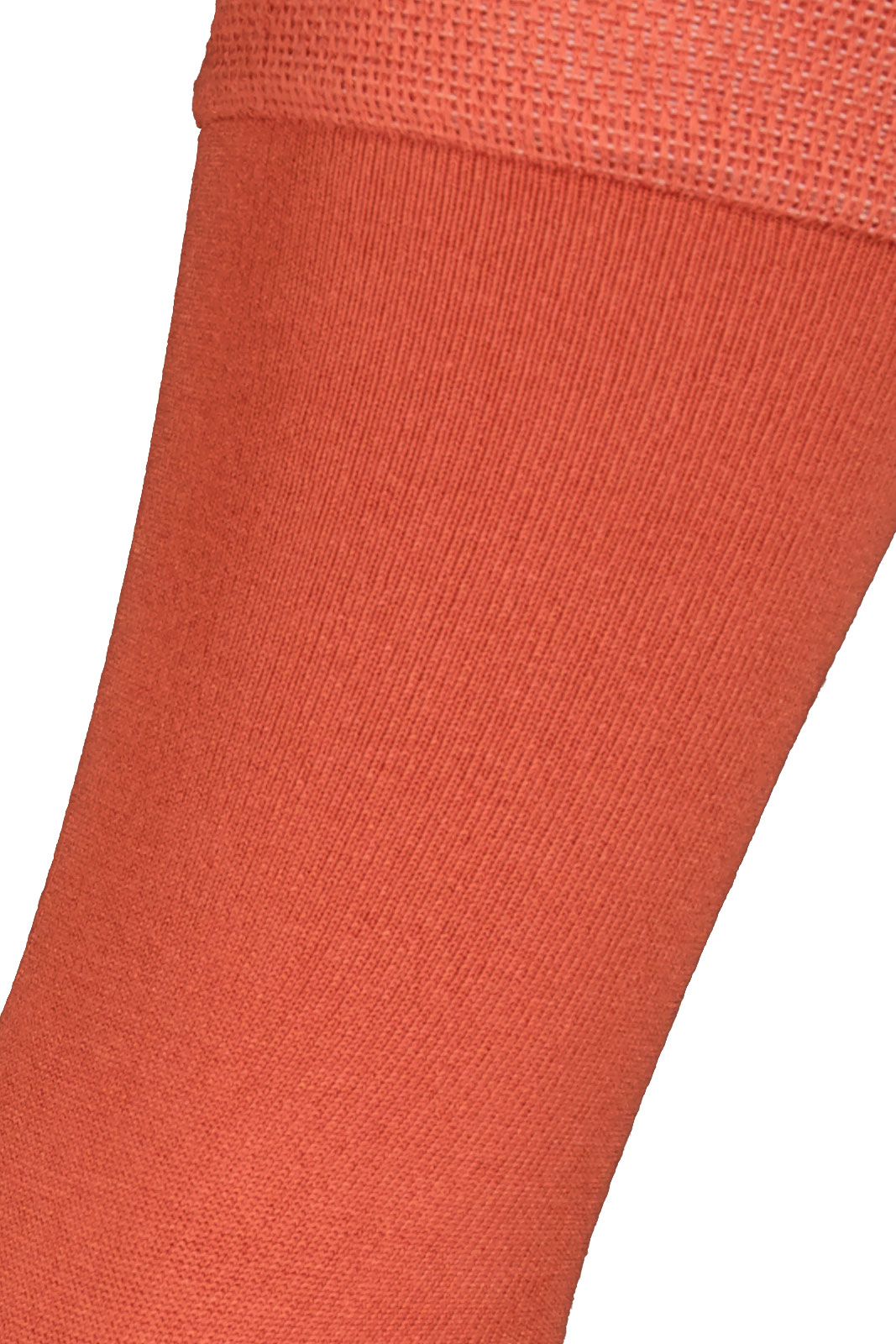 Bambustrumpa Stephen