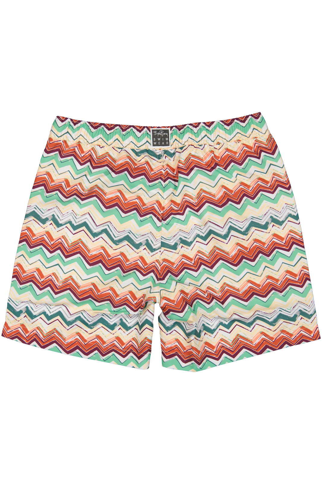 Borg Print Swim Shorts