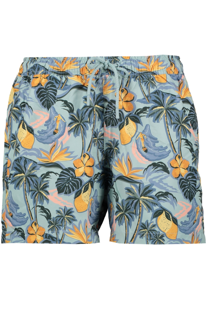 Borg Print Swim Shorts