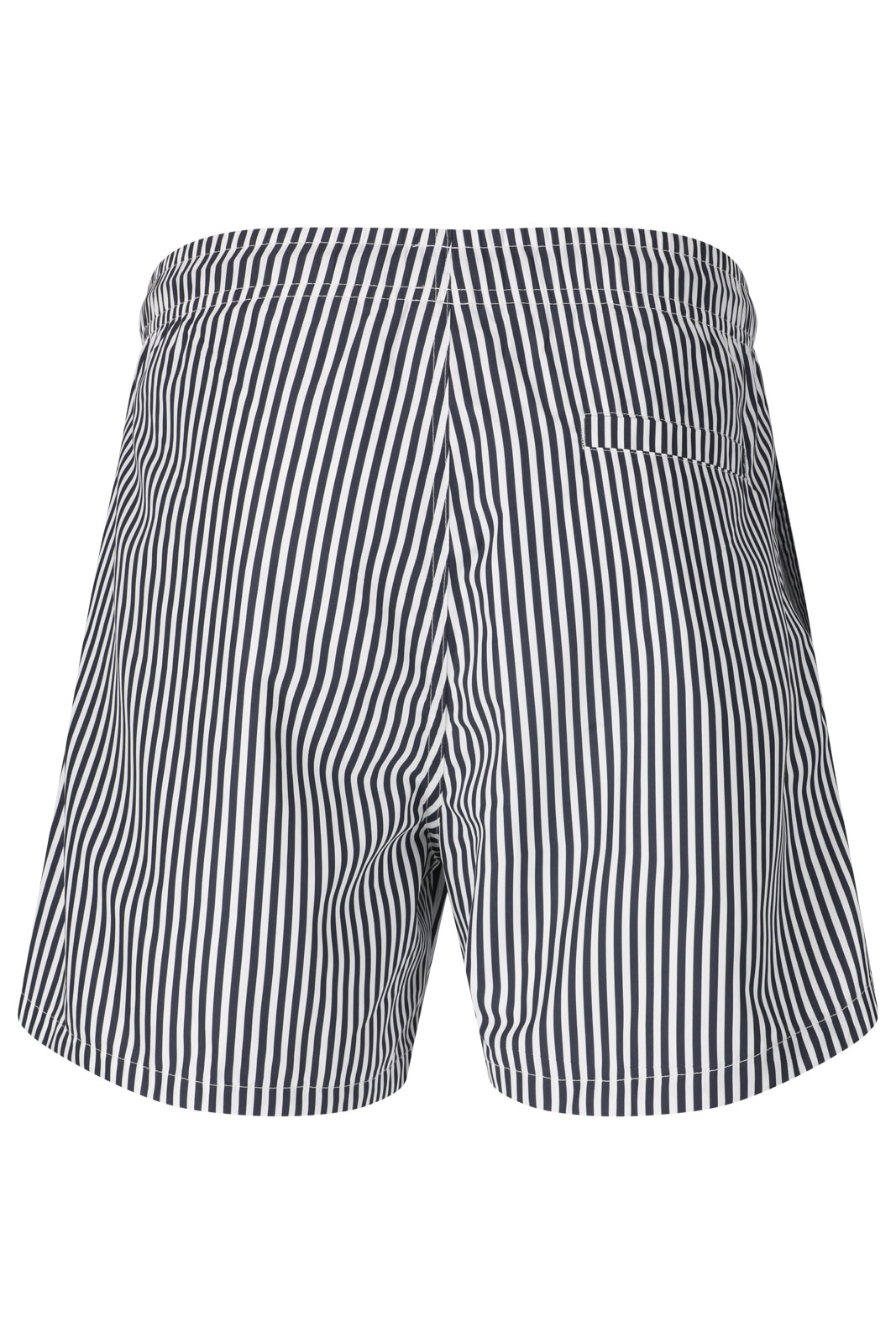 Ciro M Thin Striped Swim Shorts